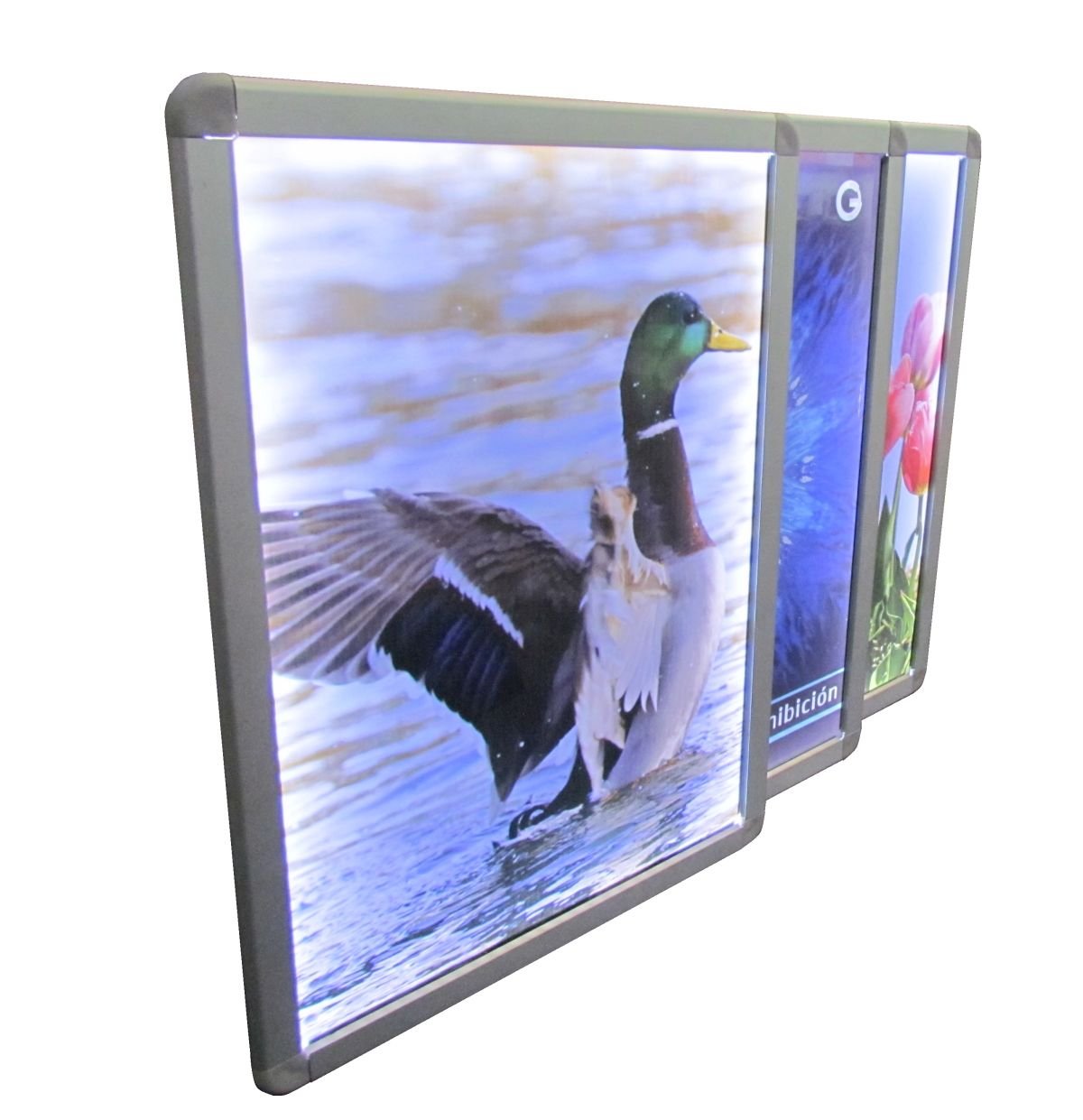 Aviso Luminoso LED extradelgado - Fábrica G3 Soportes